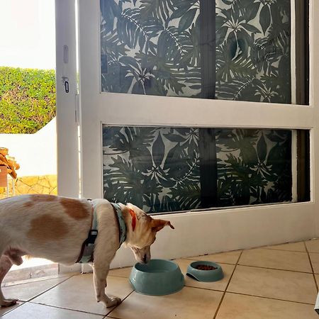 Studio Albufeira Jardim T0 エクステリア 写真