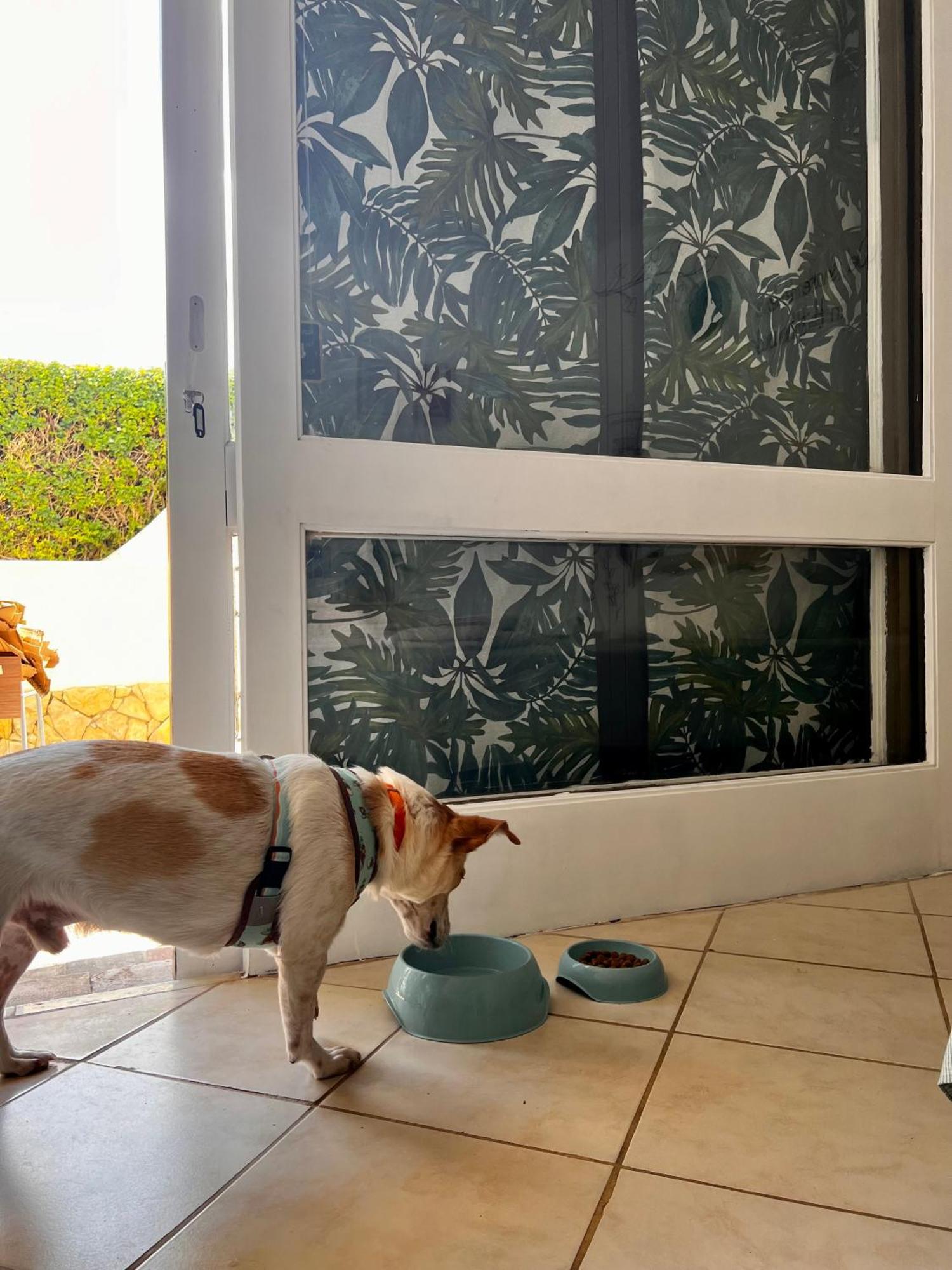 Studio Albufeira Jardim T0 エクステリア 写真